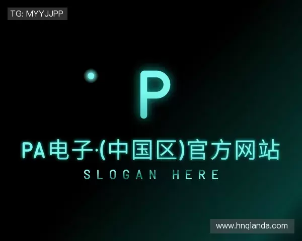 介绍PA电子